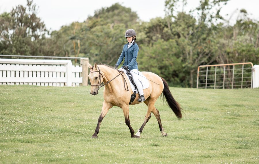 Dressage show