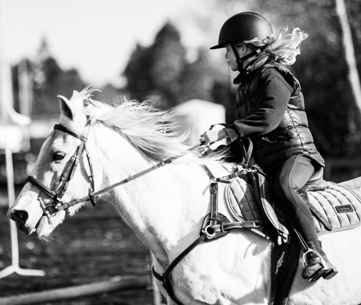 Inglewood Pony Club jumping day 
