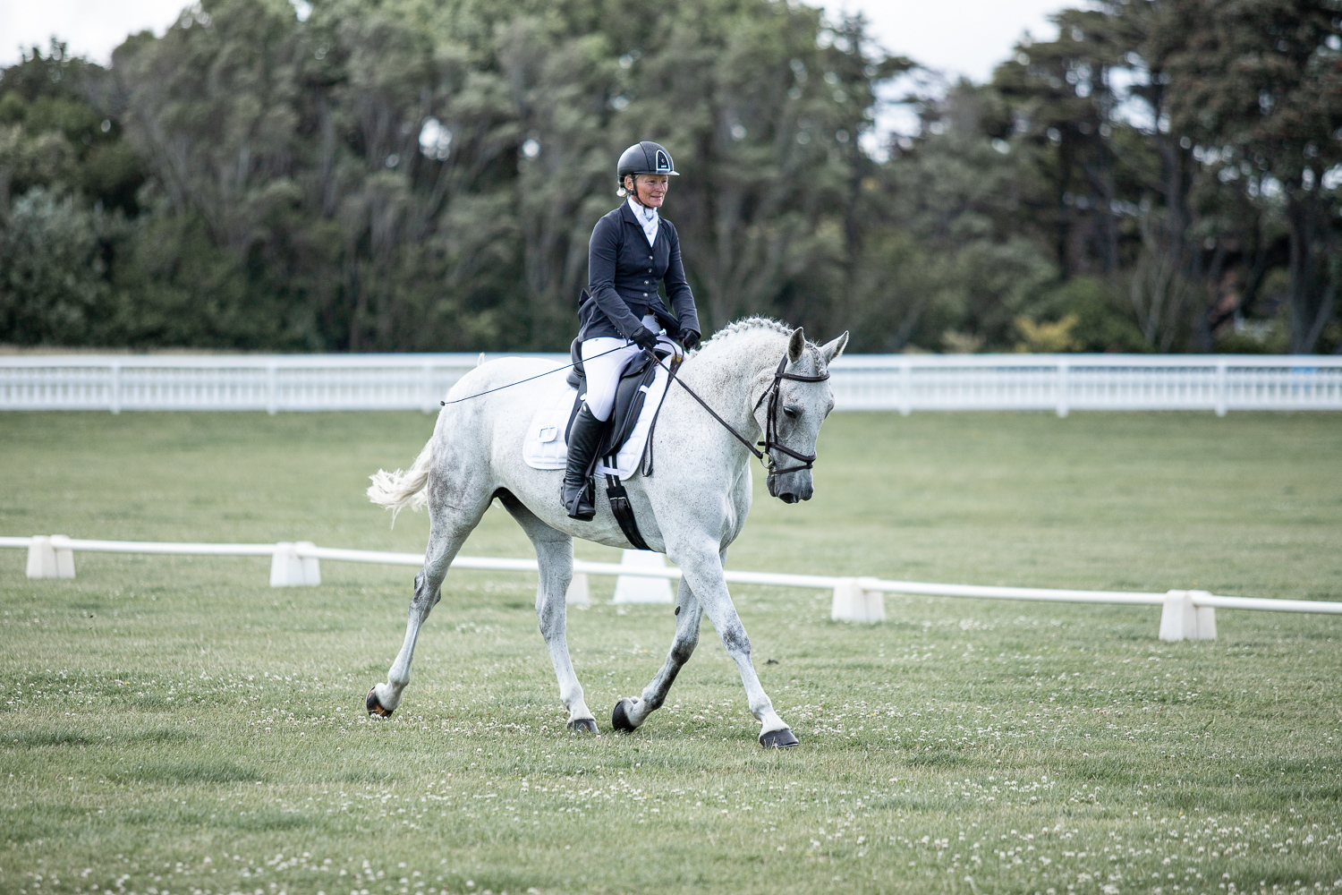 Kiwi arena rakes and dressage Taranaki premier league show