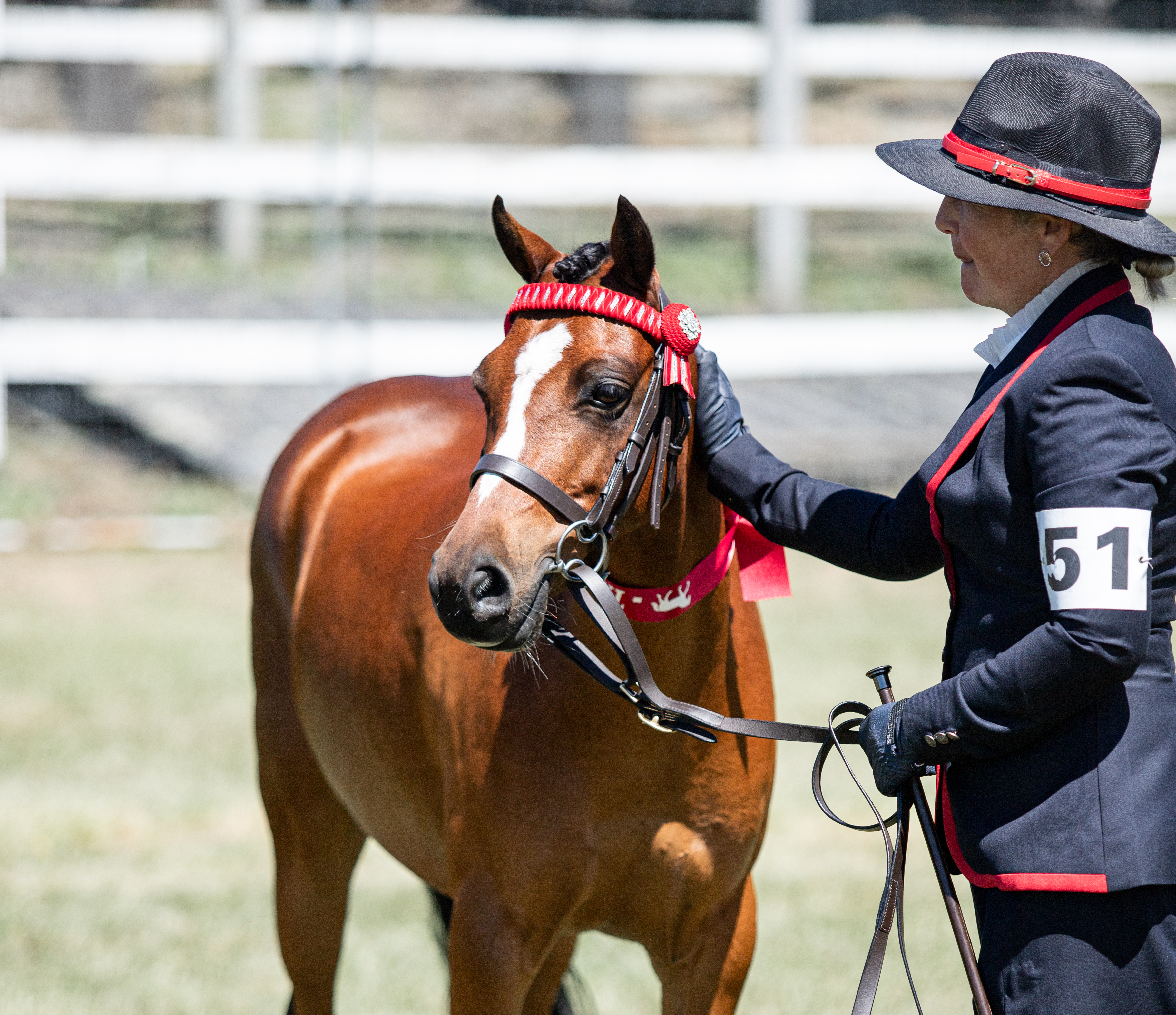 Welsh show day 2