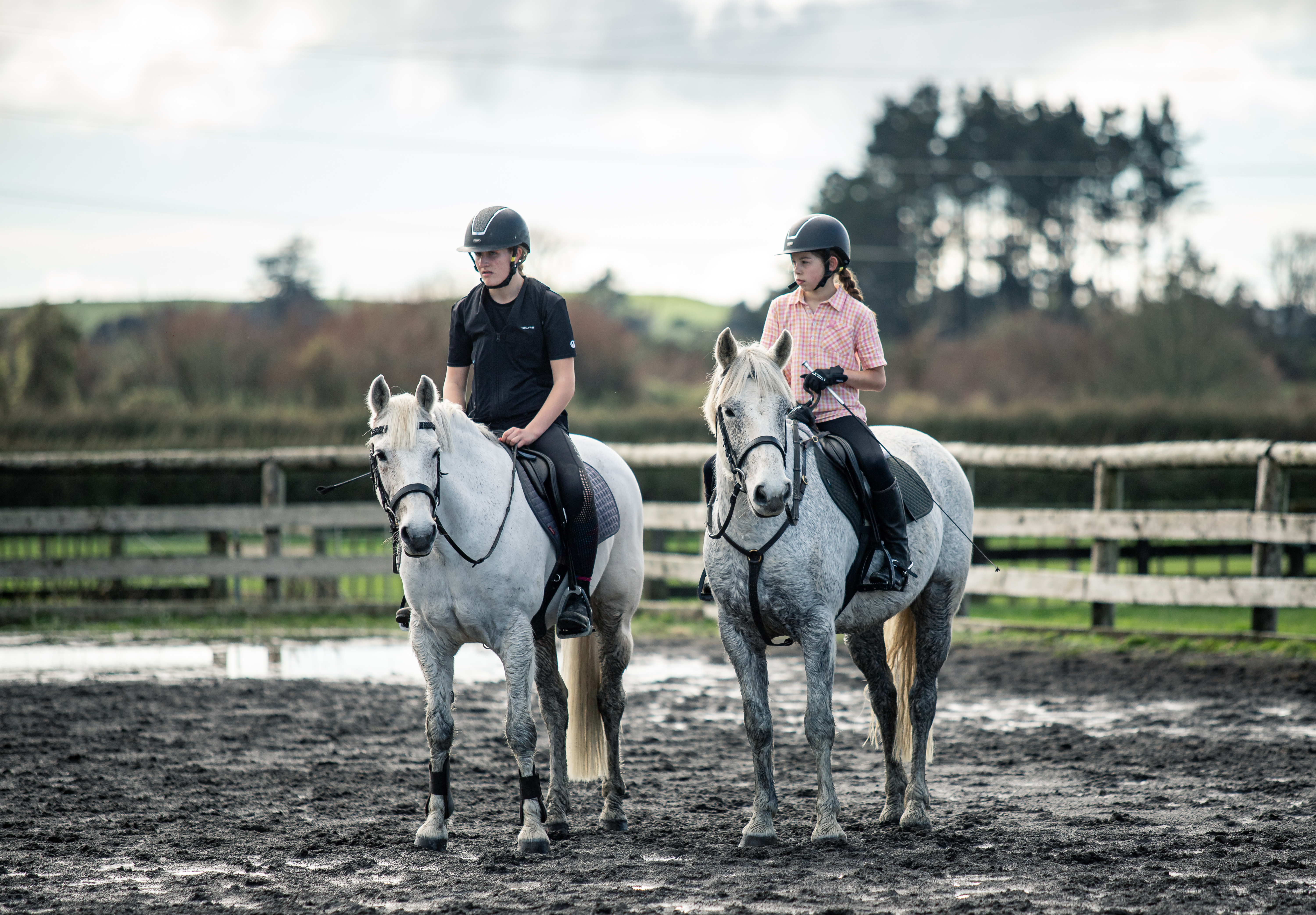 Show hunter clinic
