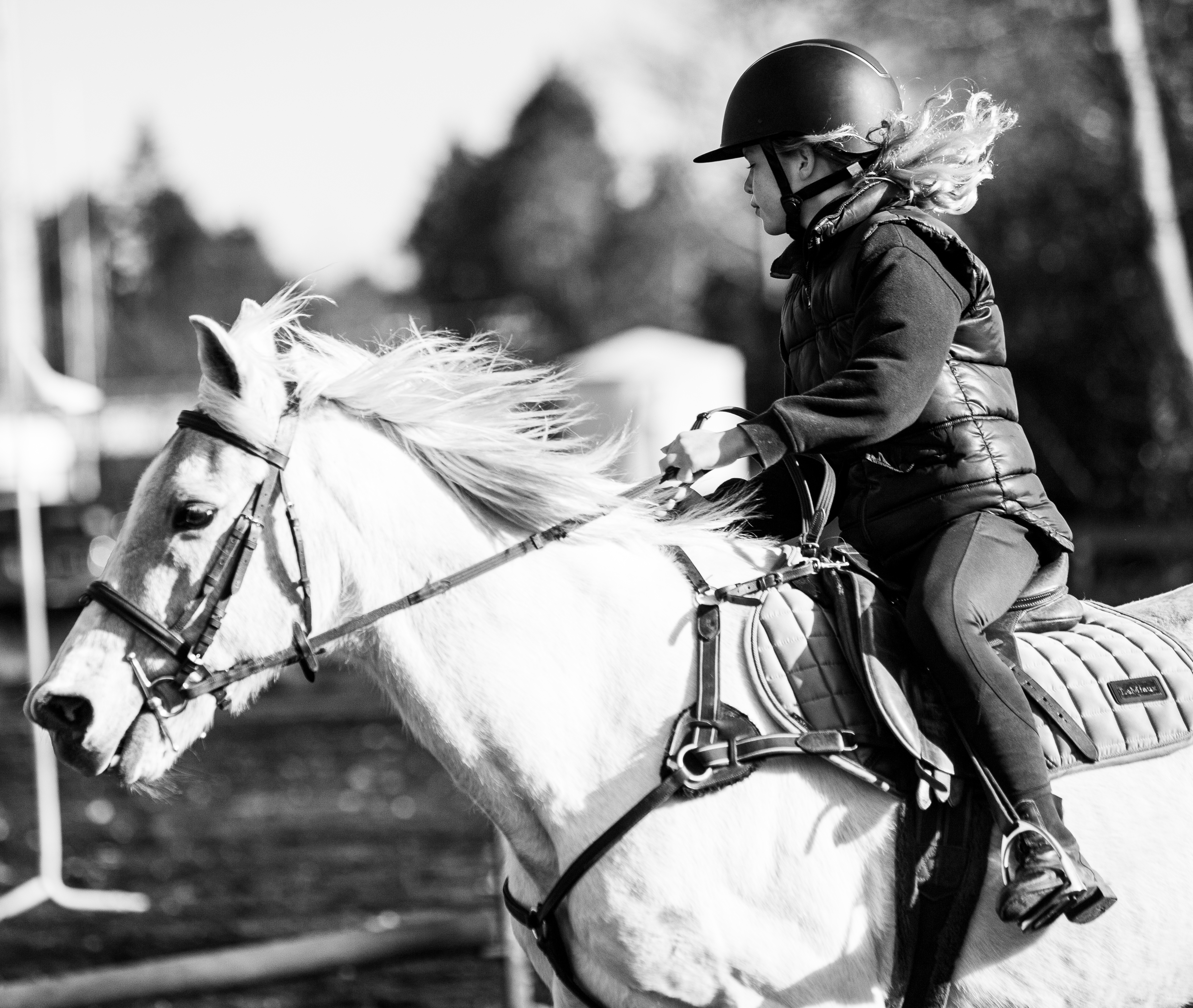 Inglewood Pony Club jumping day 