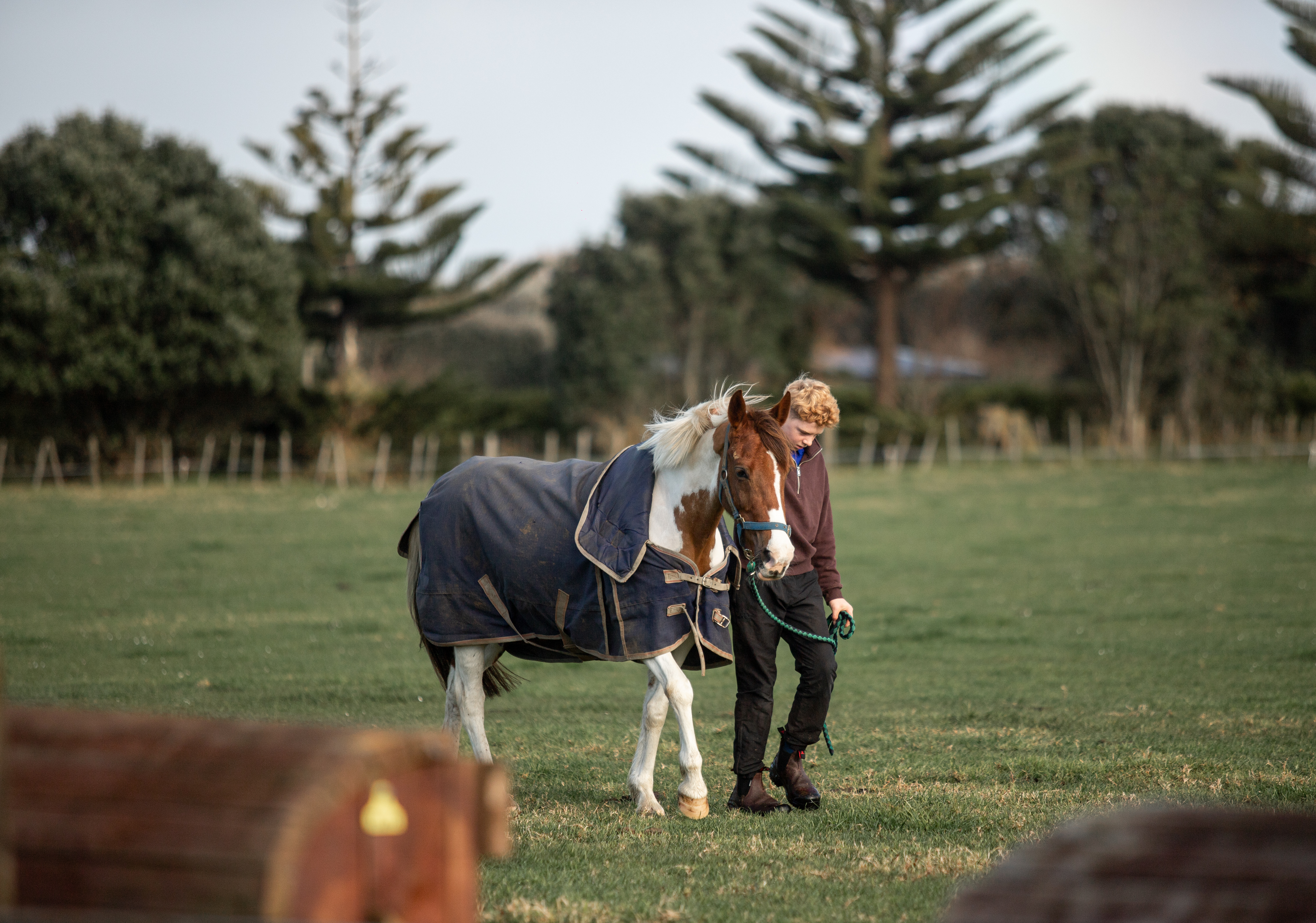 Waitara Pony Club open day 
