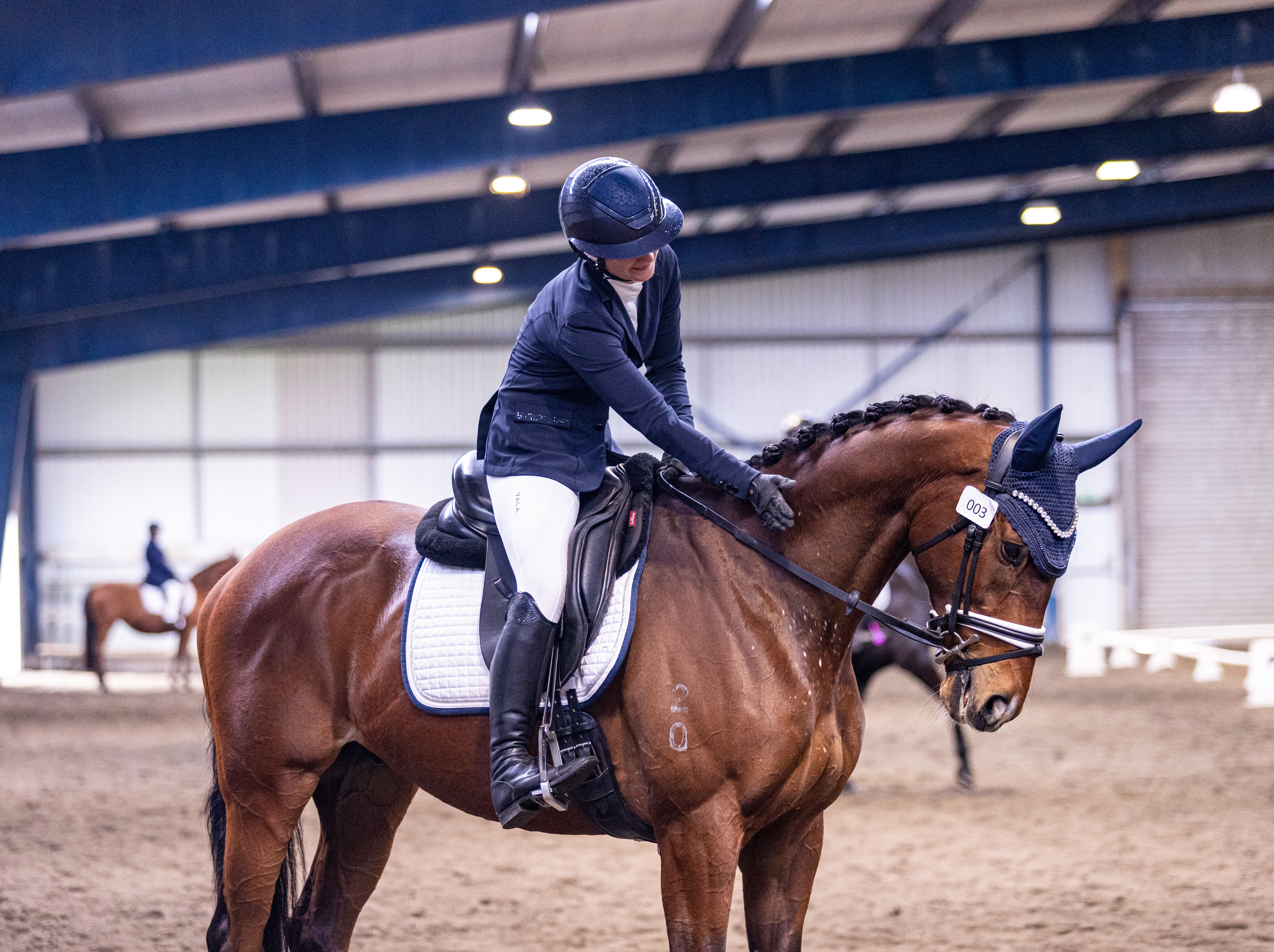 Dressage Taranaki show