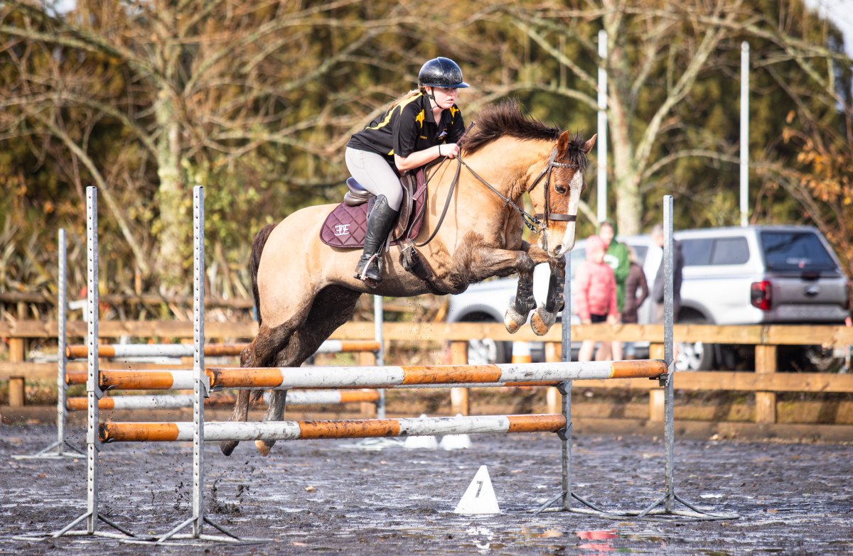Equestrian events photo