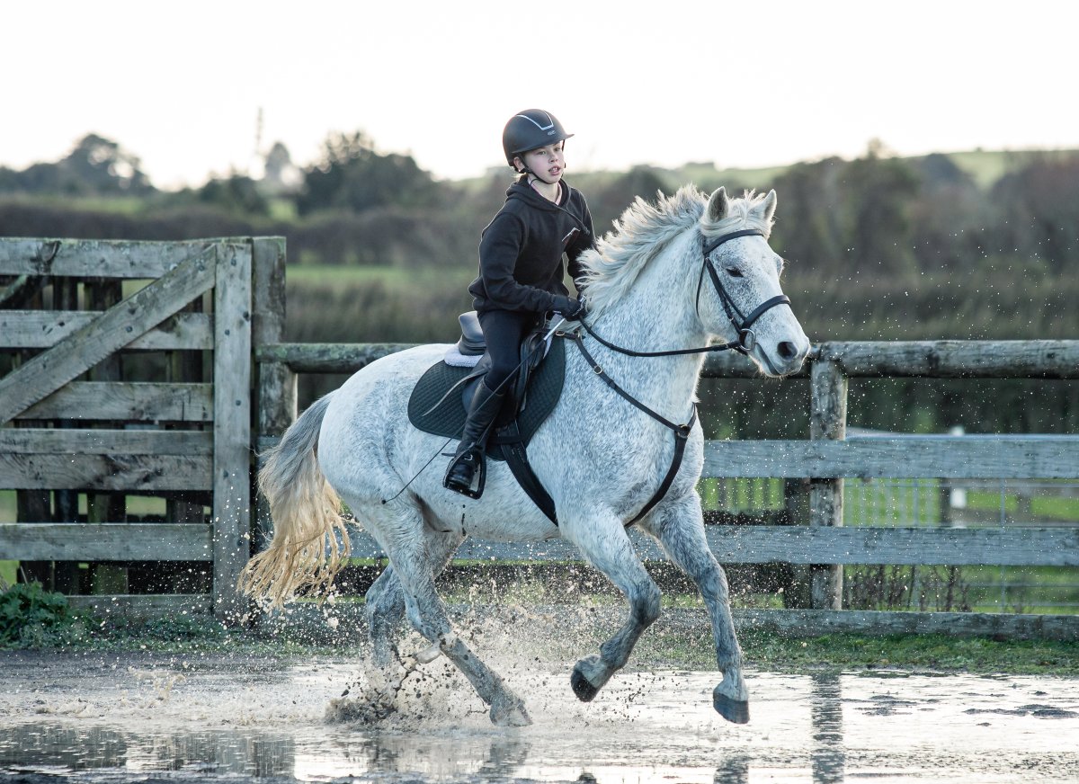 Equestrian events photo
