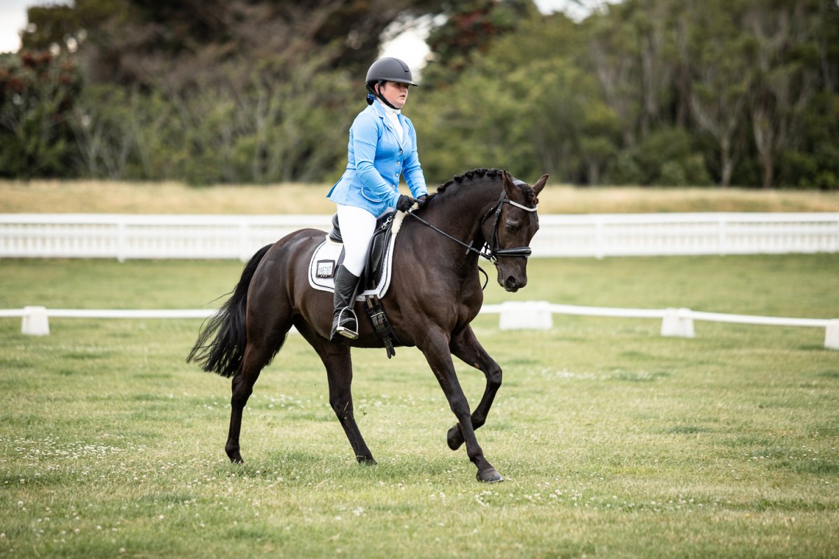 Equestrian events photo