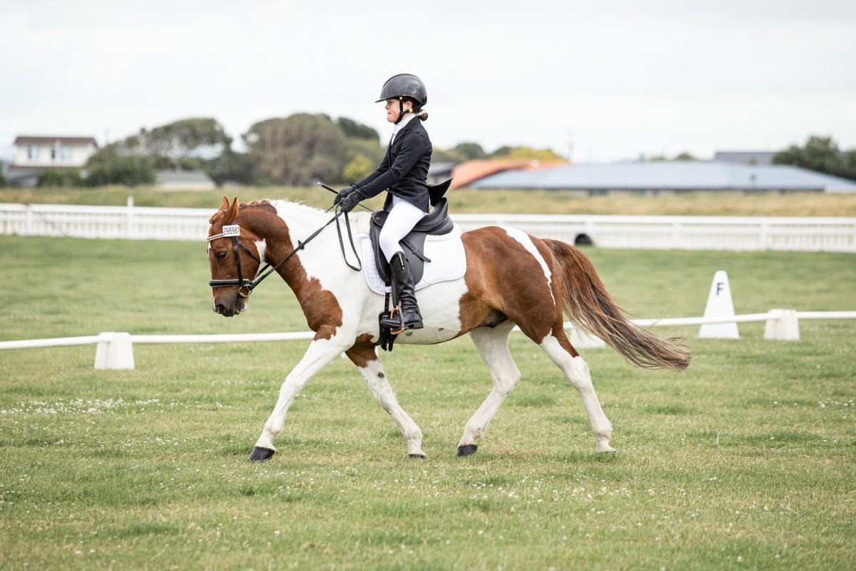Equestrian events photo