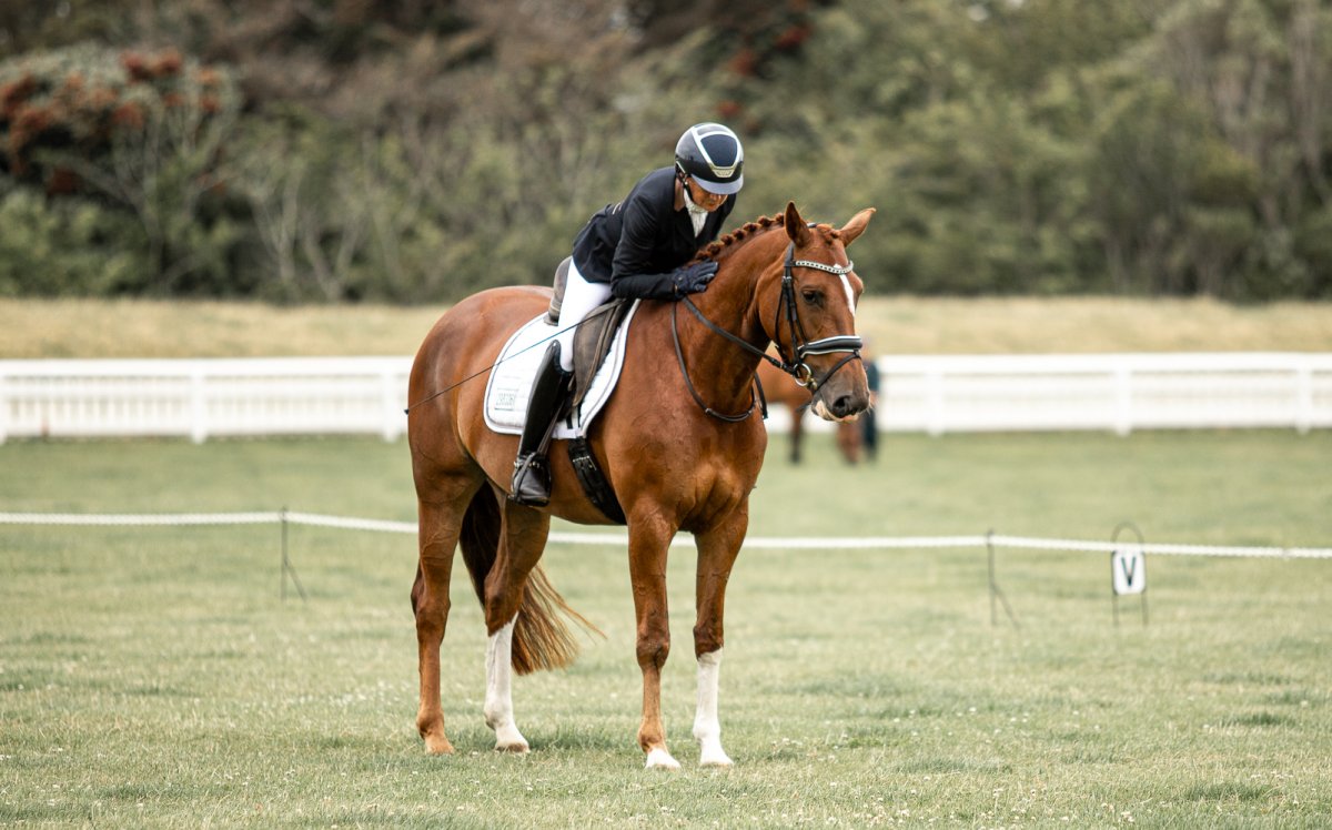 Equestrian events photo