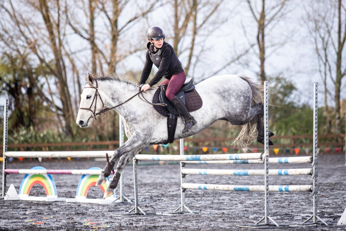 Equestrian events photo