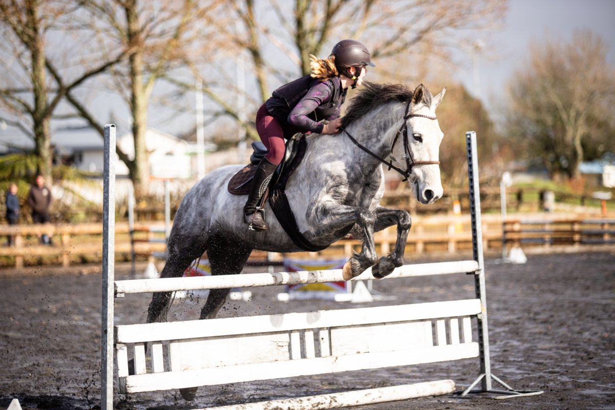 Equestrian events photo