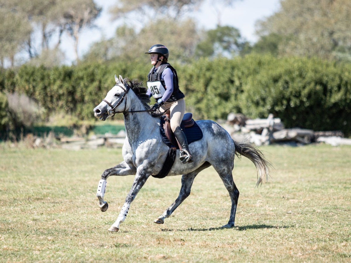 Equestrian events photo