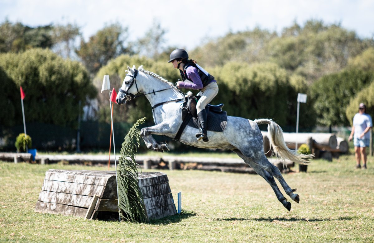 Equestrian events photo