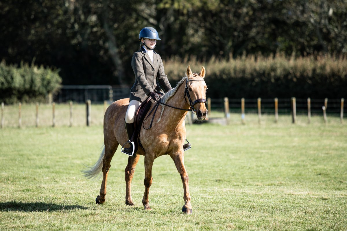 Equestrian events photo