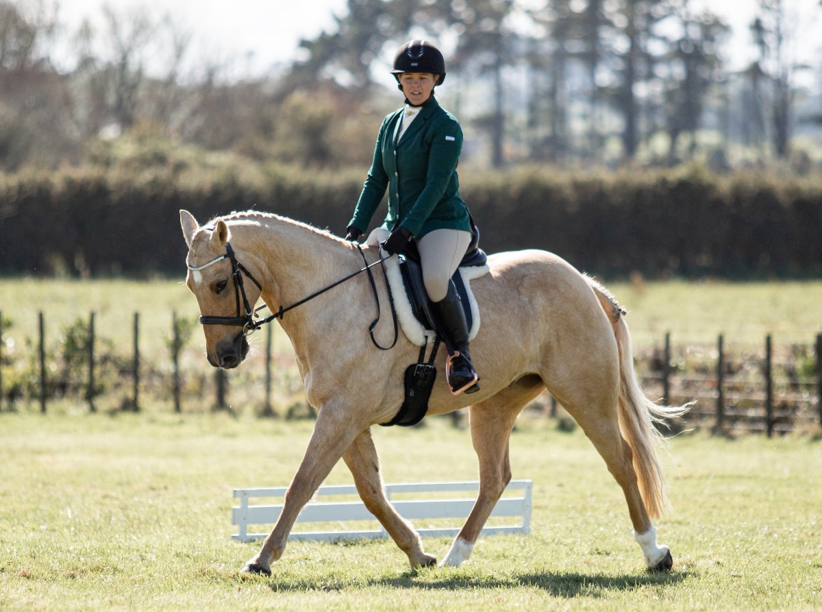 Equestrian events photo