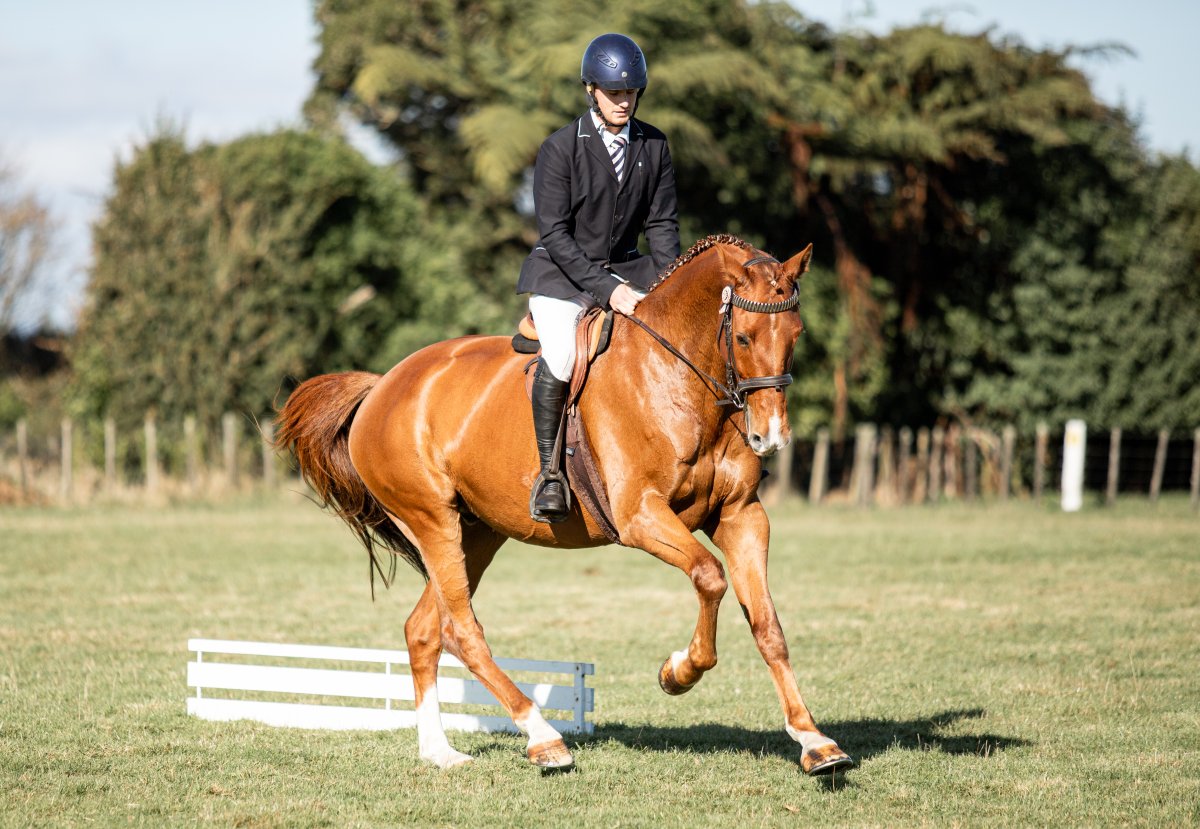 Equestrian events photo