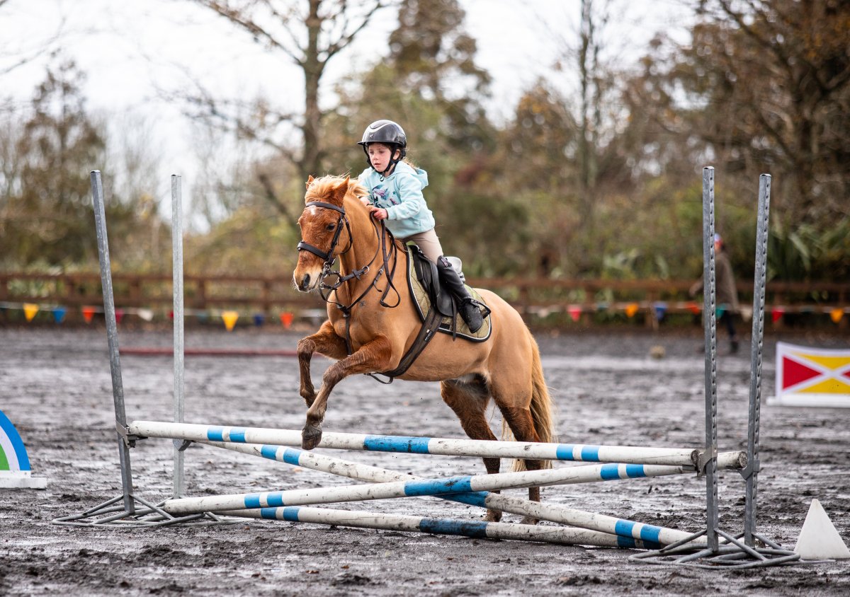 Equestrian events photo