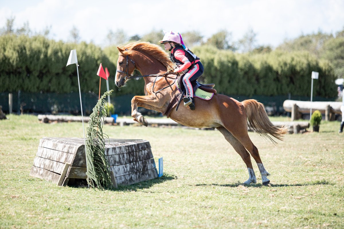 Equestrian events photo