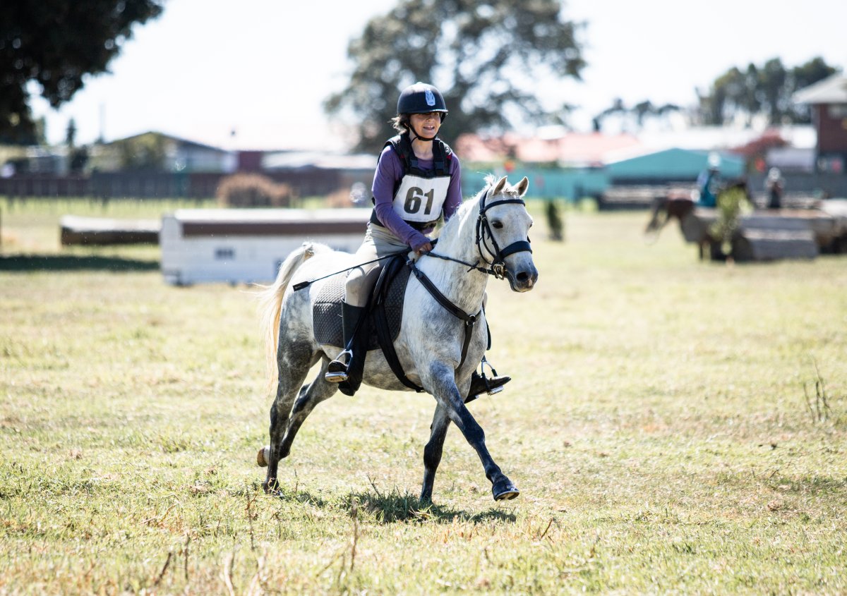 Equestrian events photo