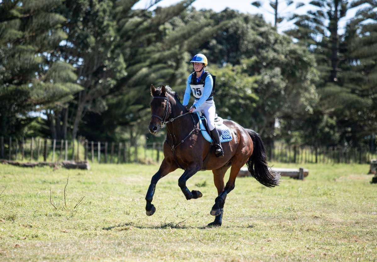 Equestrian events photo