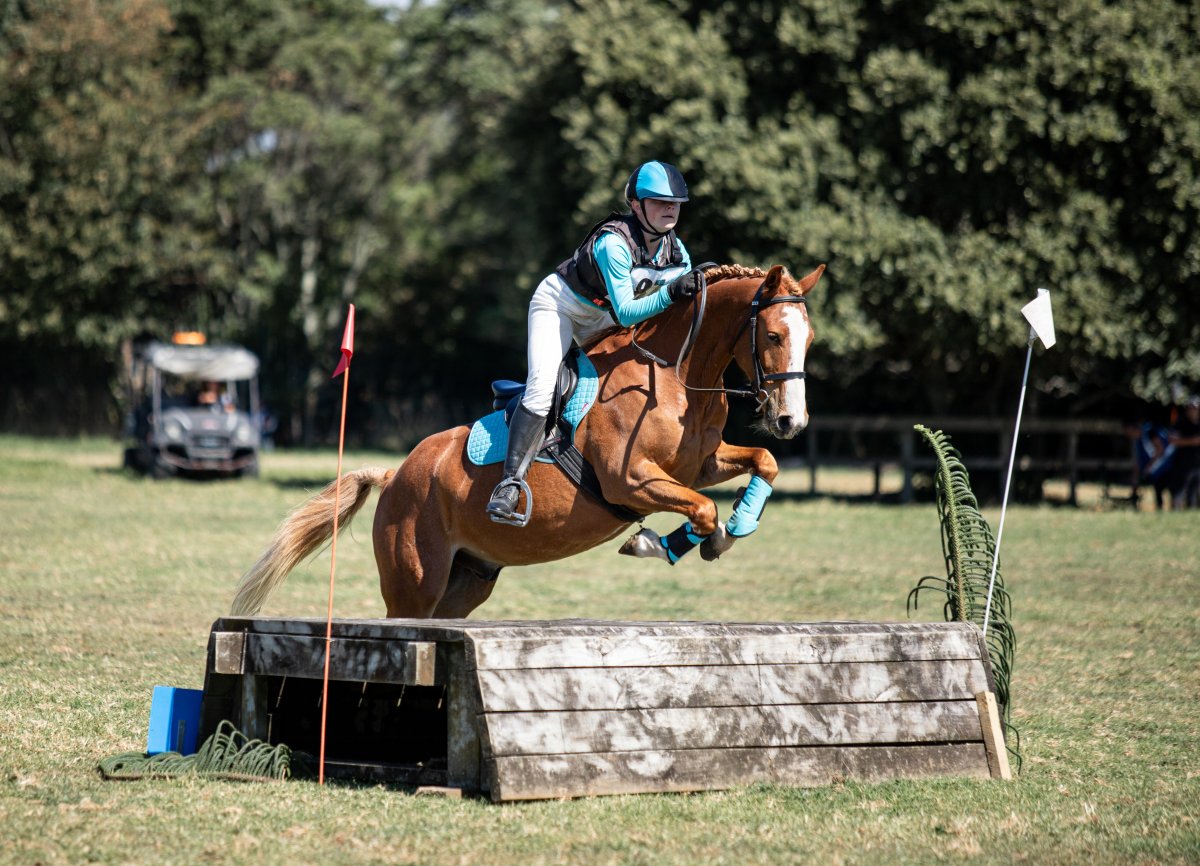Equestrian events photo