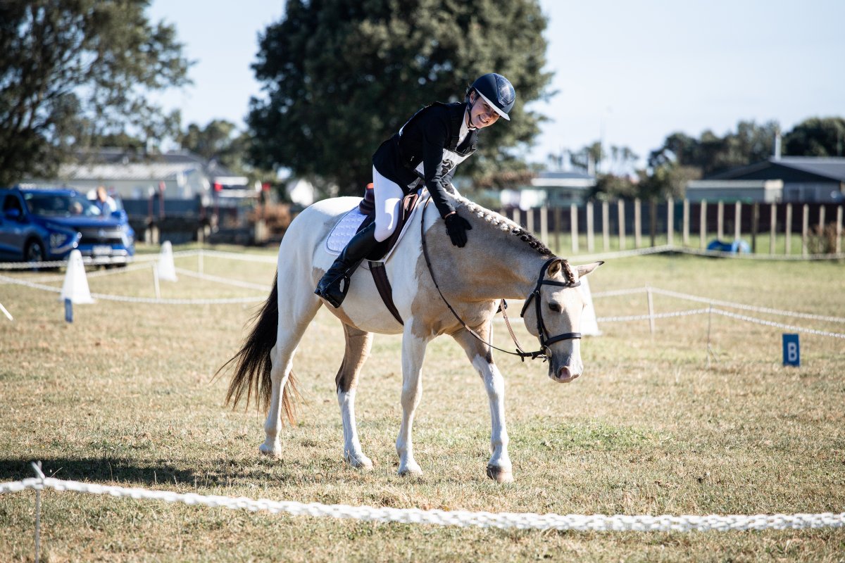 Equestrian events photo