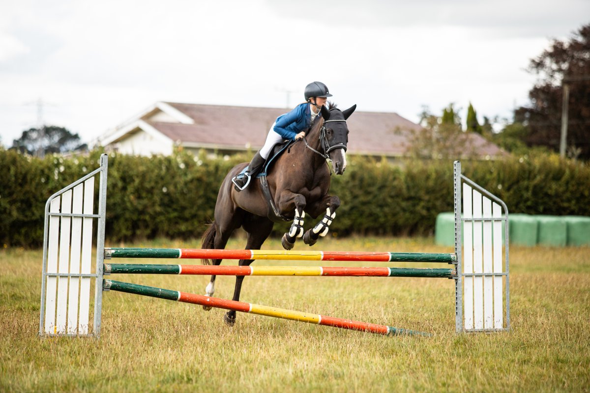 Equestrian events photo