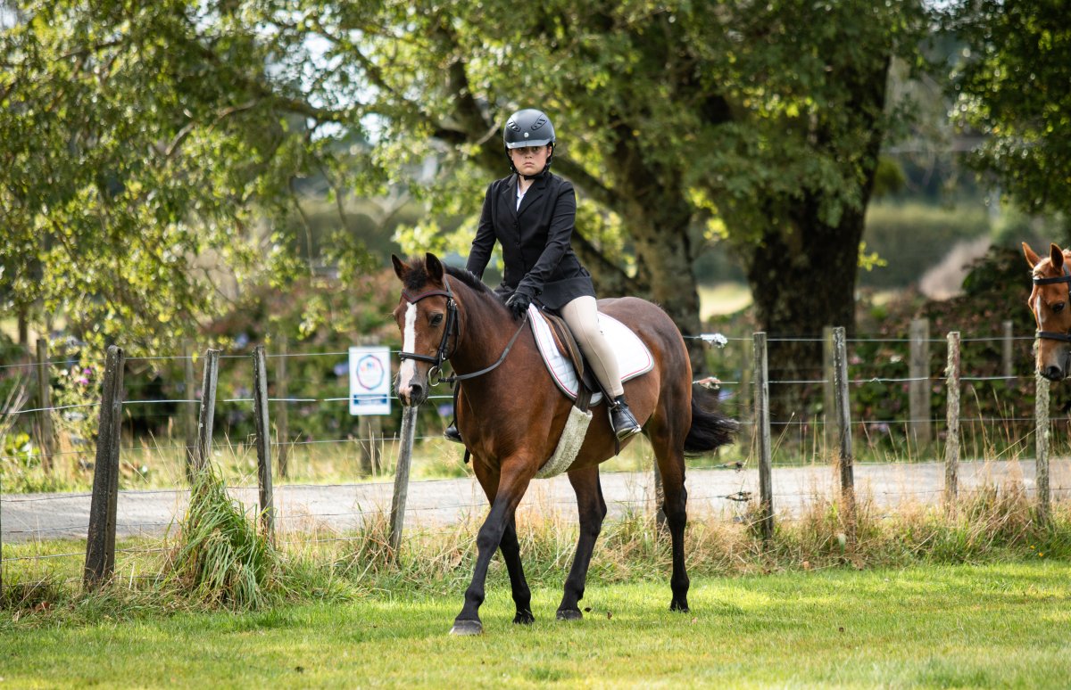 Equestrian events photo