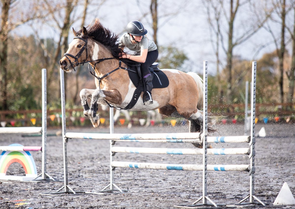 Equestrian events photo