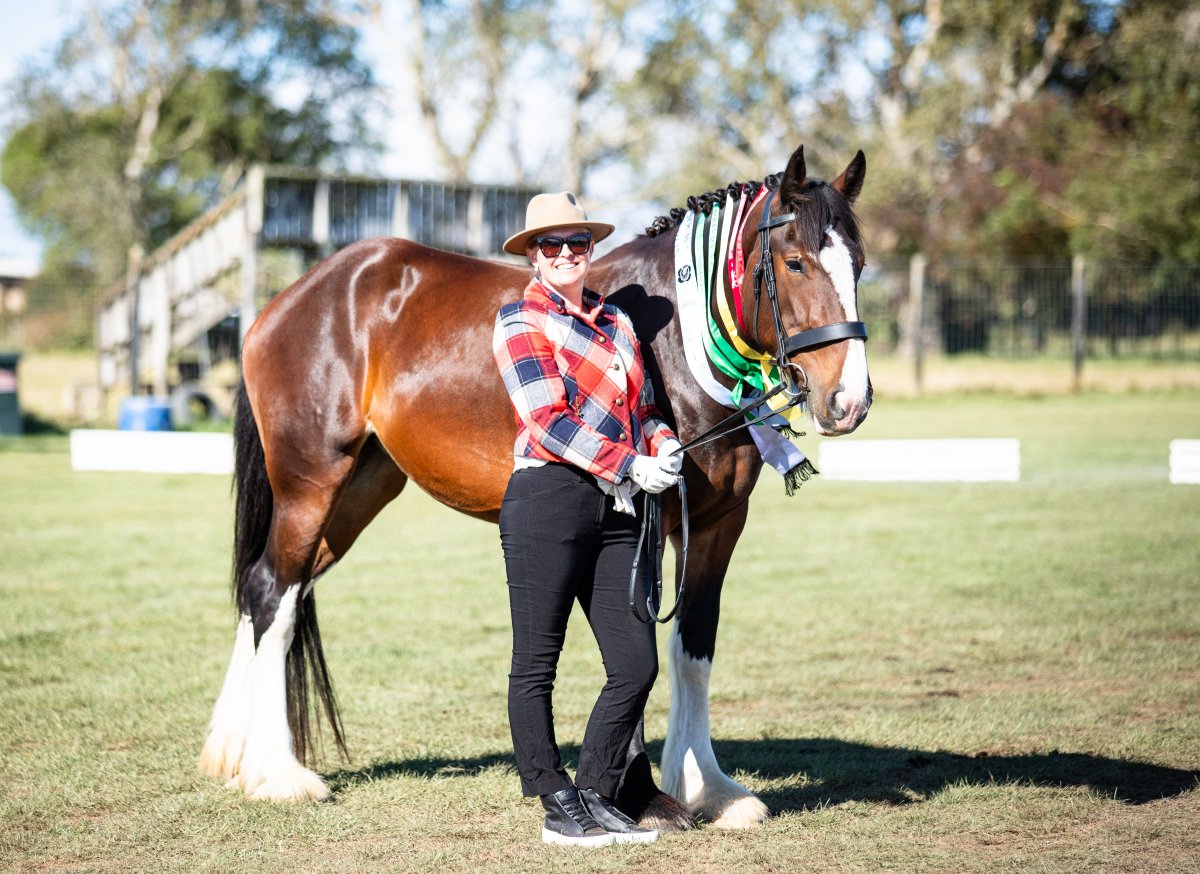 Equestrian events photo